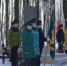 № 2/6064/20.01.2017./ «ЭШЕЛОН ПОБЕДЫ» ПРИБЫЛ В ОРМЕНКУ - Российская Нива