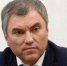 Вячеслав Володин поблагодарил военных за победу в Сирии - Российская Нива