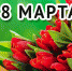 С Международным женским днем 8 Марта! - Российская Нива