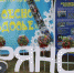 Брянцев пригласили на молодёжный эко-фестиваль «Лесное раздолье» (16+) - Российская Нива