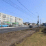 В Брянске на Московском проспекте восстановят газоны и тротуары - Российская Нива