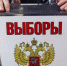 Более трети избирателей Брянщины выполнили свой гражданский долг, проголосовав на выборах - Российская Нива