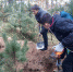 Жуковские поисковики обнаружили места захоронения - Российская Нива