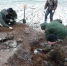 Жуковские поисковики подняли останки трёх красноармейцев - Российская Нива