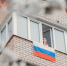 Брянцев приглашают присоединиться к акции «Окна России» (0+) - Российская Нива