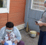 Активность городецких избирателей - Российская Нива