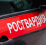 Сотрудники Росгвардии задержали гражданина, совершившего кражи. - Российская Нива