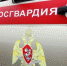 Сотрудники Росгвардии задержали подозреваемого в краже, находящегося в федеральном розыске - Российская Нива