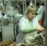 На Брянщине стартовала программа профобучения - Российская Нива