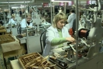 На Брянщине стартовала программа профобучения