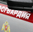 В Брянске сотрудники Росгвардии задержали мужчину, находившегося в федеральном розыске - Российская Нива