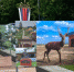 Фотовыставка «Путешествие по Брянскому краю» состоялась в областном центре (12+) - Российская Нива
