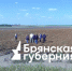 Представители власти и депутаты проверили, как проходит уборка картофеля на полях Брянской области - Российская Нива