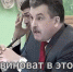 Коммунисты снова продемонстрировали свою неспособность к реальным действиям - Российская Нива