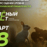 Брянцев приглашают принять участие в экологическом тестировании «Зелёный Зачёт» - Российская Нива