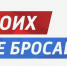 Депутат Выгоничского районного Совета народных депутатов Николай Тишин: «Российская армия всё ближе к Победе» - Российская Нива