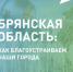 Две недели осталось до окончания голосования за объекты благоустройства в Брянской области - Российская Нива