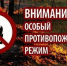В лесах Брянской области будет введен особый противопожарный режим - Российская Нива