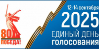 Выборы Губернатора Брянской области в Выгоничском районе завершены - Российская Нива