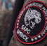 В брянский «БАРС» вступили свыше 2100 бойцов и 218 офицеров - Российская Нива